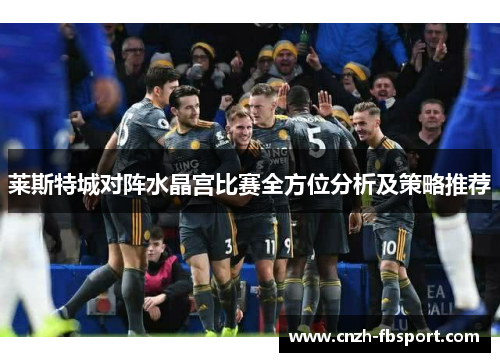 莱斯特城对阵水晶宫比赛全方位分析及策略推荐