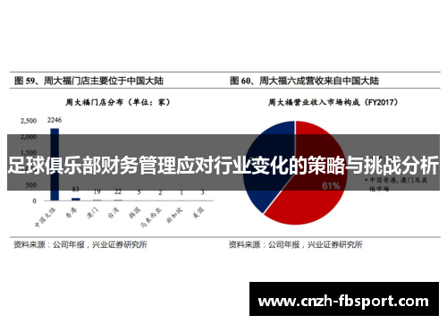 足球俱乐部财务管理应对行业变化的策略与挑战分析 足球俱乐部财务管理应对行业变化的策略与挑战分析